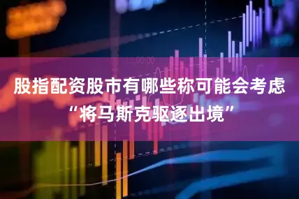 股指配资股市有哪些称可能会考虑“将马斯克驱逐出境”