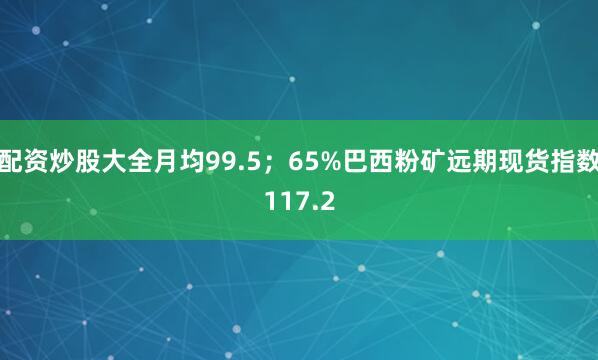 配资炒股大全月均99.5；65%巴西粉矿远期现货指数117.2